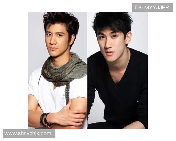 足球明星与娱乐圈明星的魅力对比分析与视觉呈现