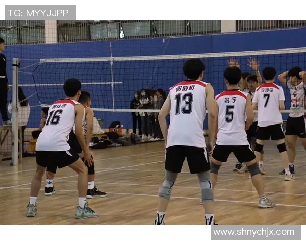 重庆网球队实力分析：在联赛中展现出的强劲竞争力与团队协作