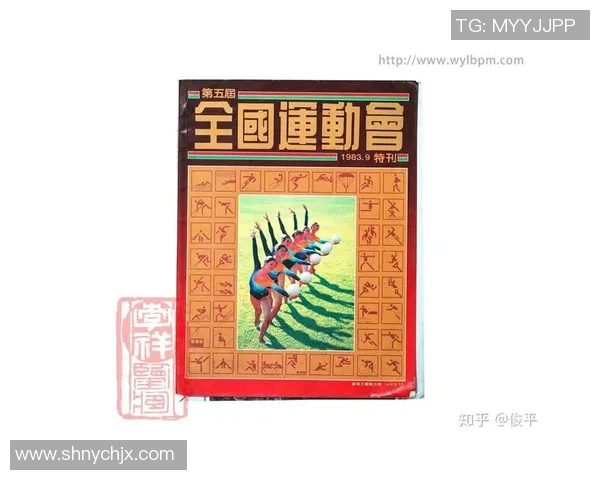 排球纪实：记录深圳排球队的突破历程