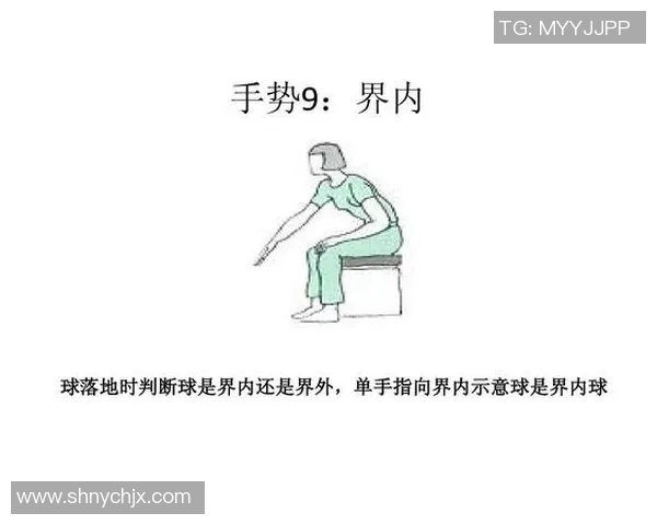 羽毛球深度：解密武汉羽毛球队的控制