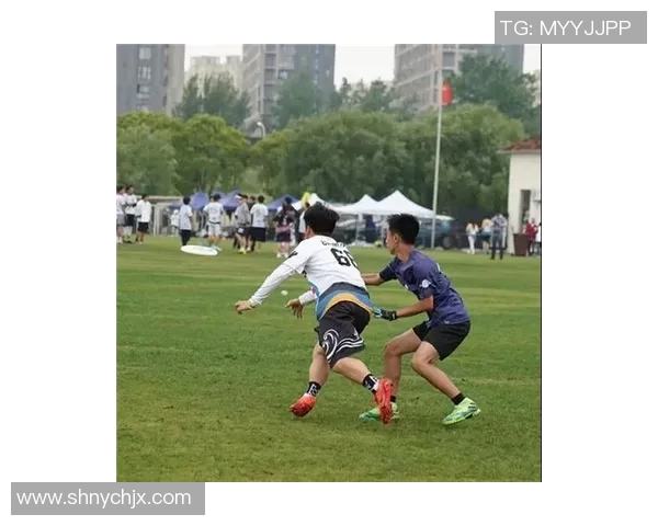 聚焦飞盘：广州飞盘队的战术话题