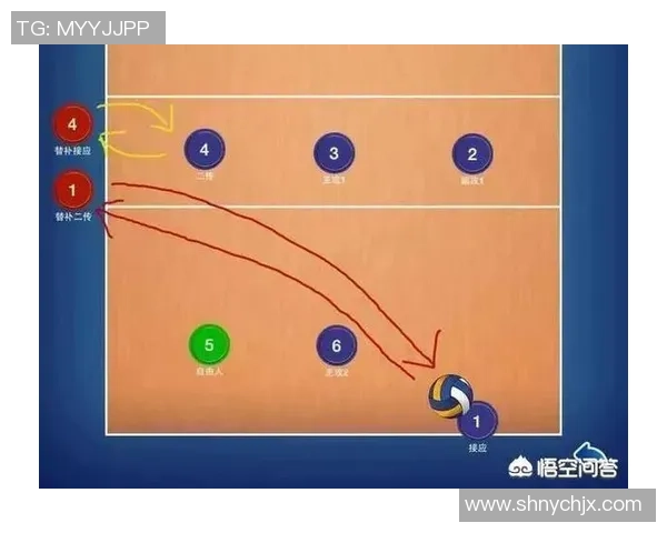 排球战术：重庆排球队的防守体系_1